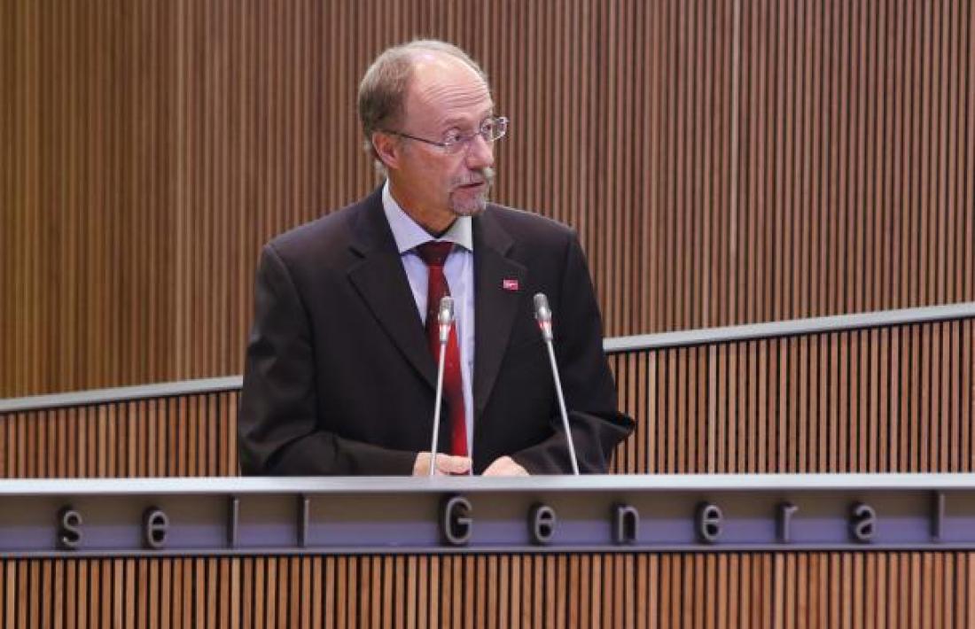 Víctor Naudi, conseller general d’SDP.