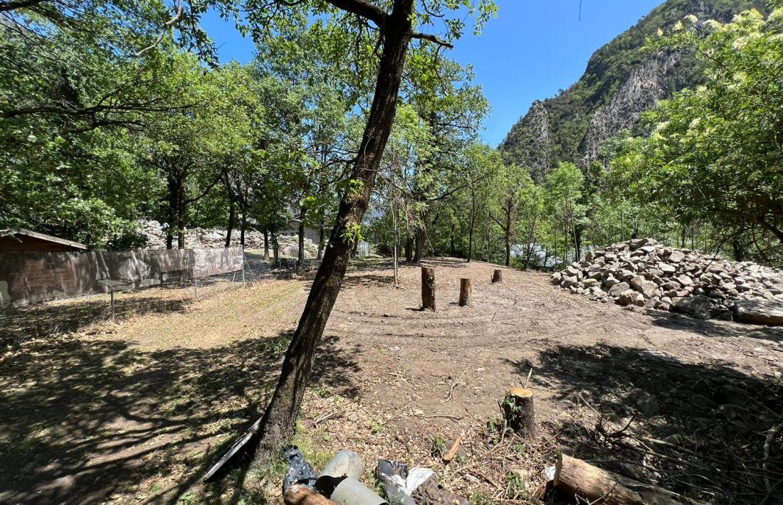 El Comú està enjardinant la roureda adjacent al jaciment, des d’on s’enlairarà la passarel·la que el sobrevolarà.