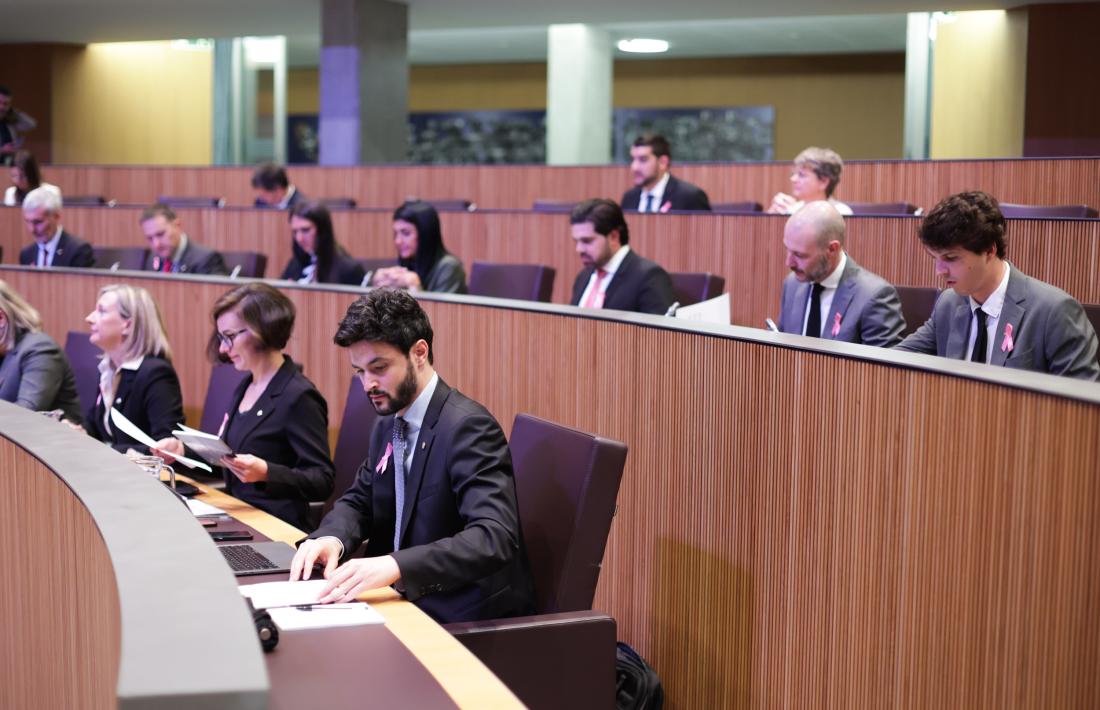 Els consellers de Concòrdia en primer terme, en una sessió del Consell General.