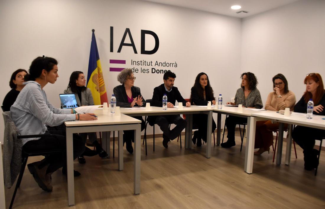 A la Taula de treball de professionals d’intervenció en violència de gènere hi han intervingut representants de vuit institucions i col·lectius.