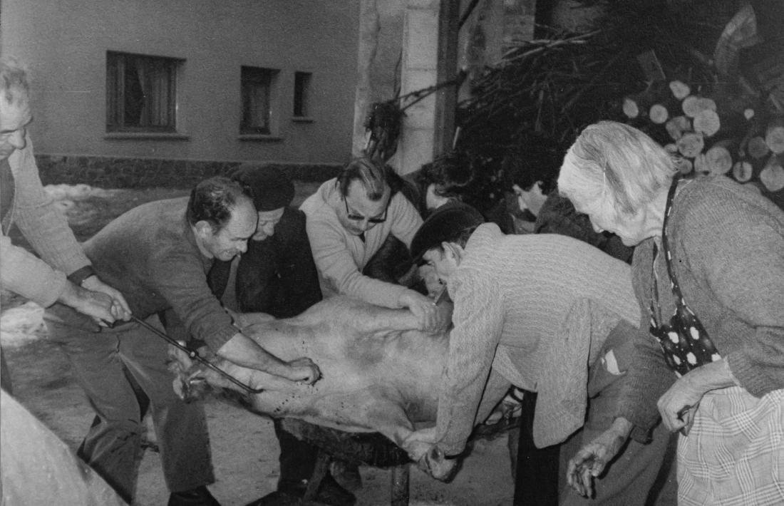 Instantània de la matança del porc al voltant del 1980.