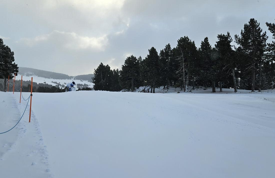 Estat de les pistes a Naturland.