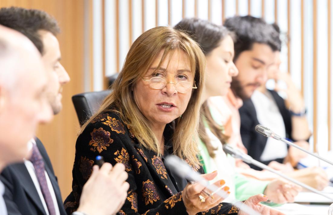 La ministra Marsol en una compareixença recent a la comissió legislativa d’Economia.