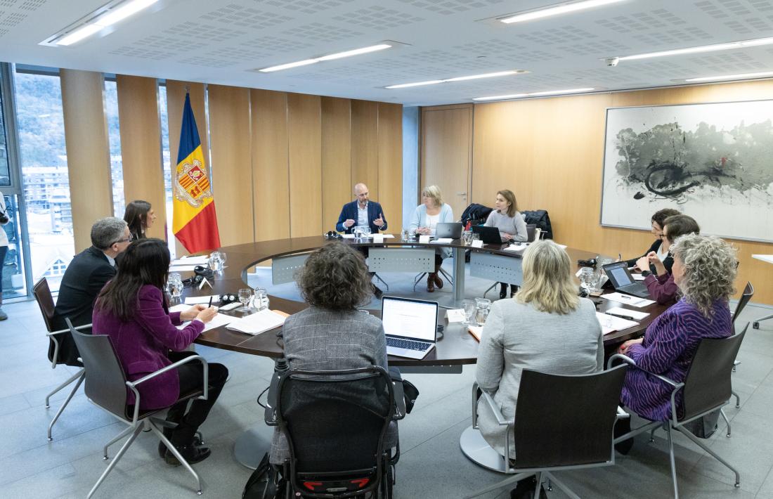 La delegació del Grevio amb els membres de la comissió legislativa d'Afers Socials i Igualtat.