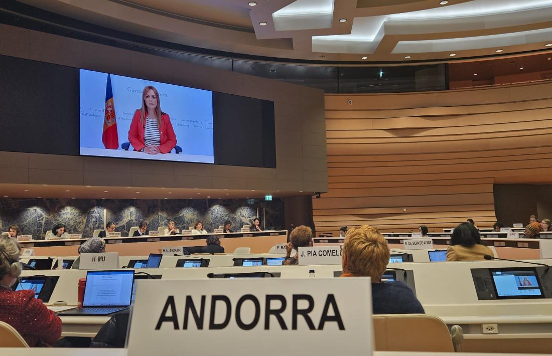 Mariona Cadena intervé telemàticament al CEDAW.