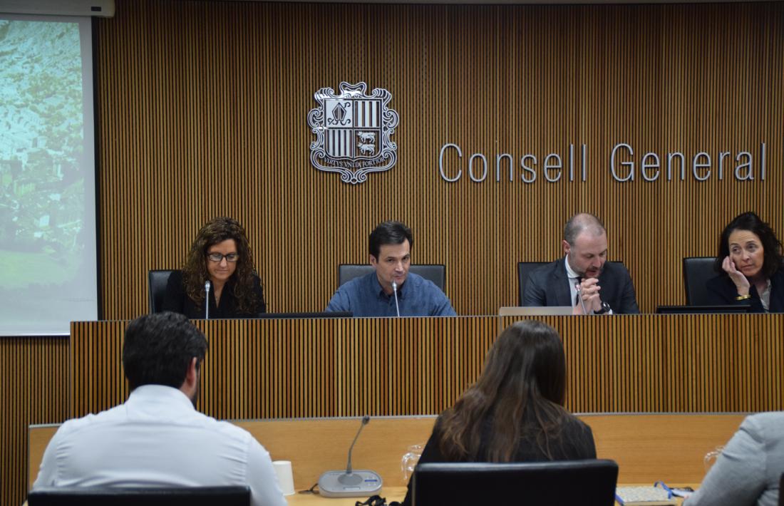 Un moment de la intervenció de Nadal i Cornella, ahir a la comissió del Consell General.